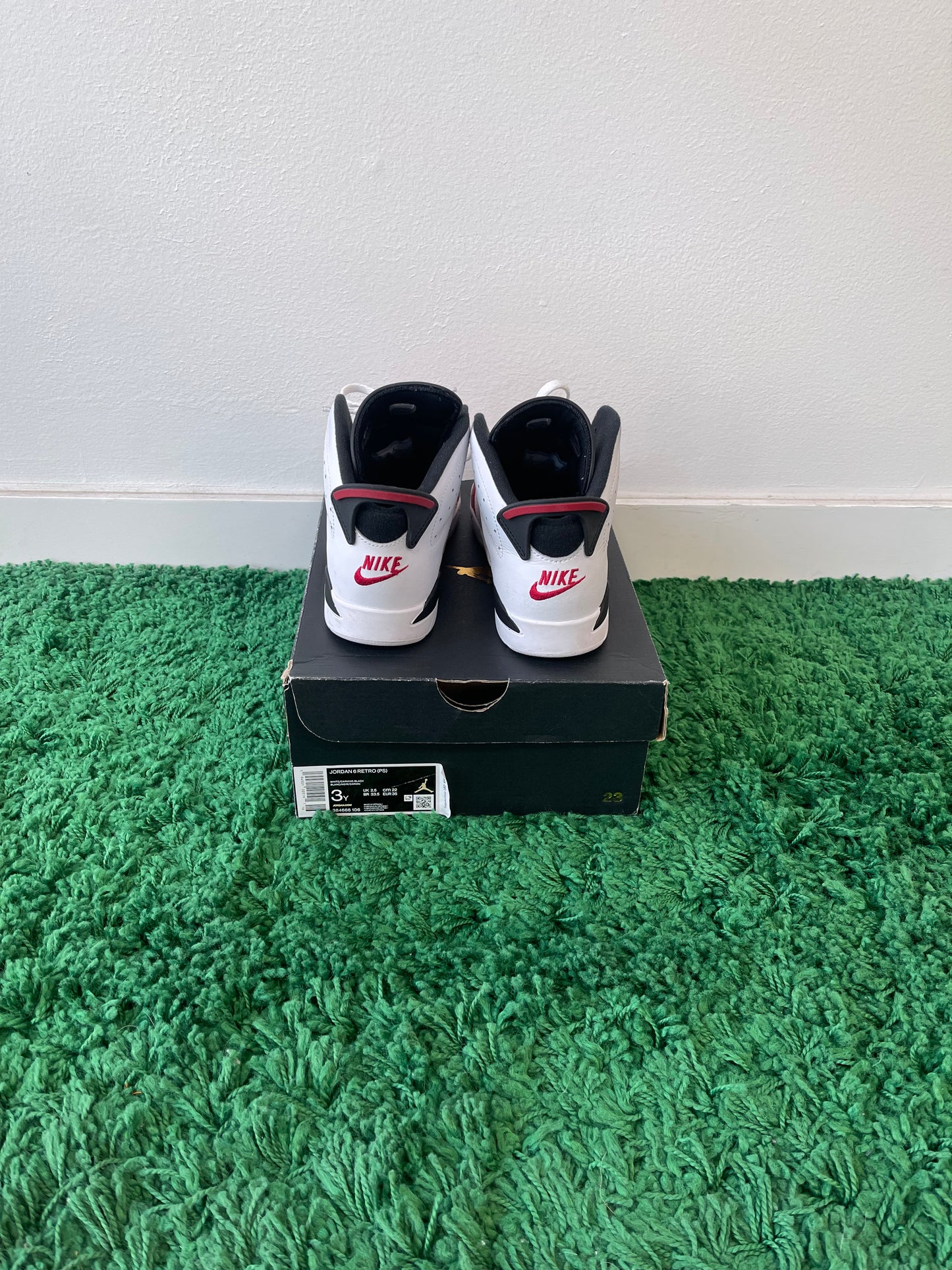 Used Jordan 6 Retro Carmine (PS)
