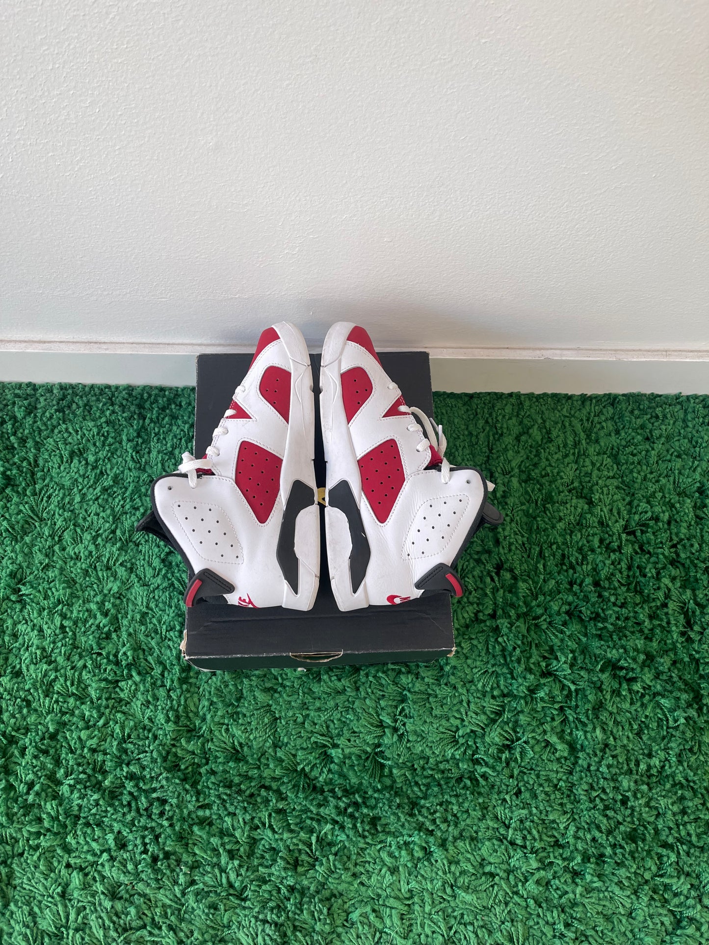 Used Jordan 6 Retro Carmine (PS)