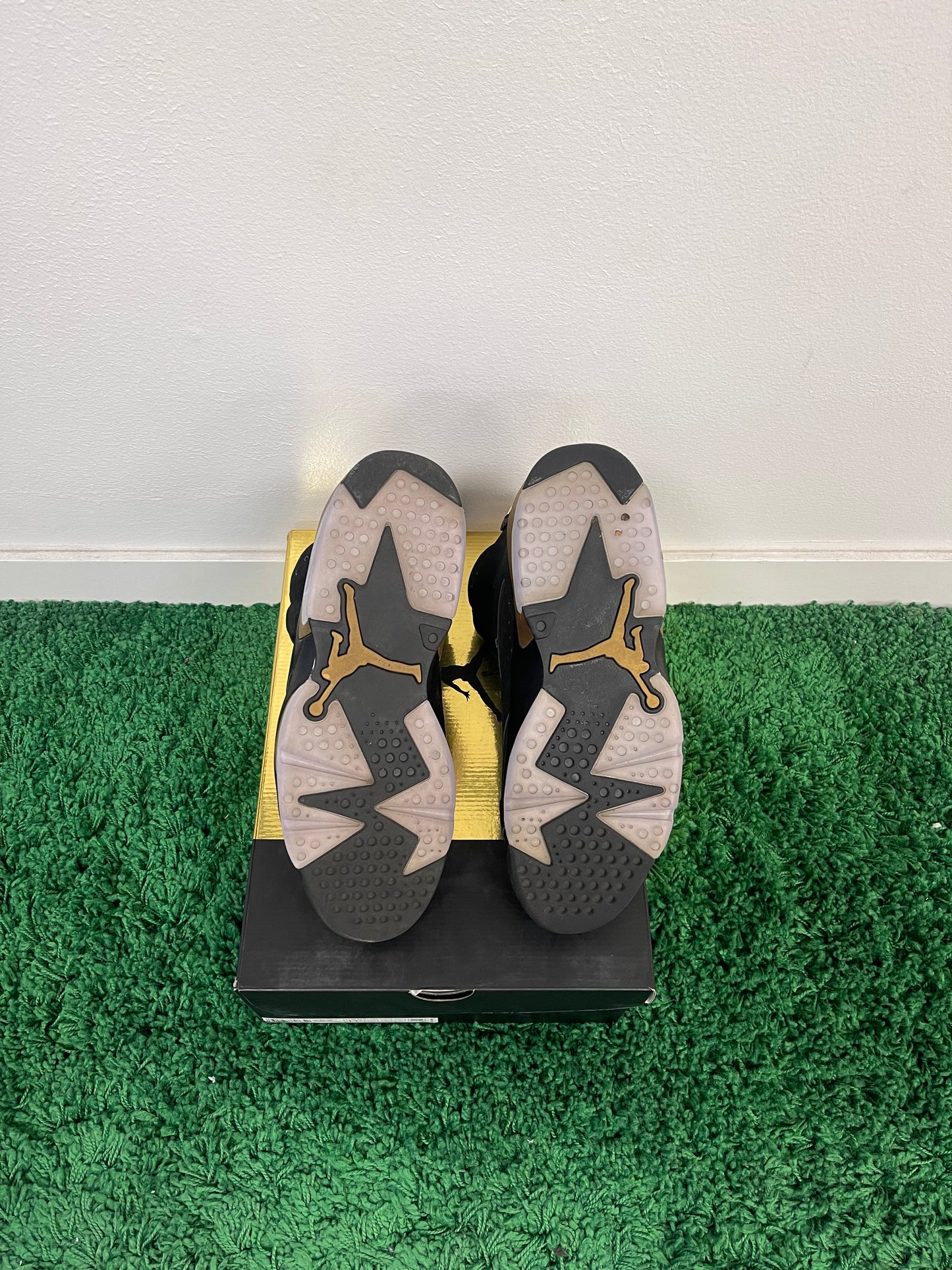Used Jordan 6 Retro DMP 2020 (Men’s)