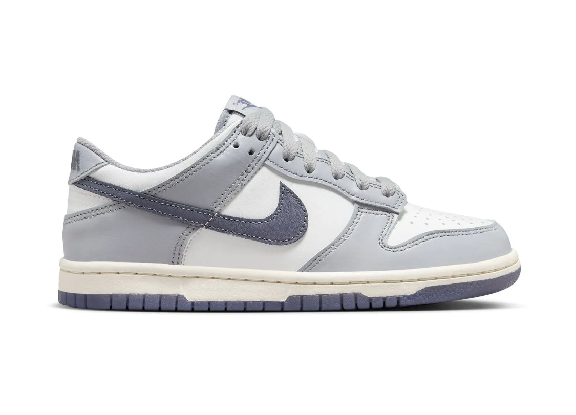 Nike Dunk Low Platinum Tint Light Carbon (Youth)