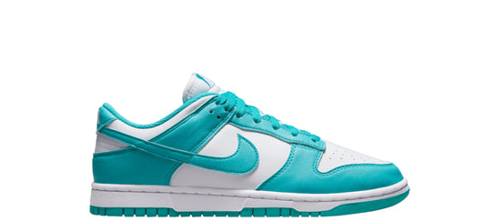 Nike Dunk Low Next Nature Dusty Cactus (Women’s)