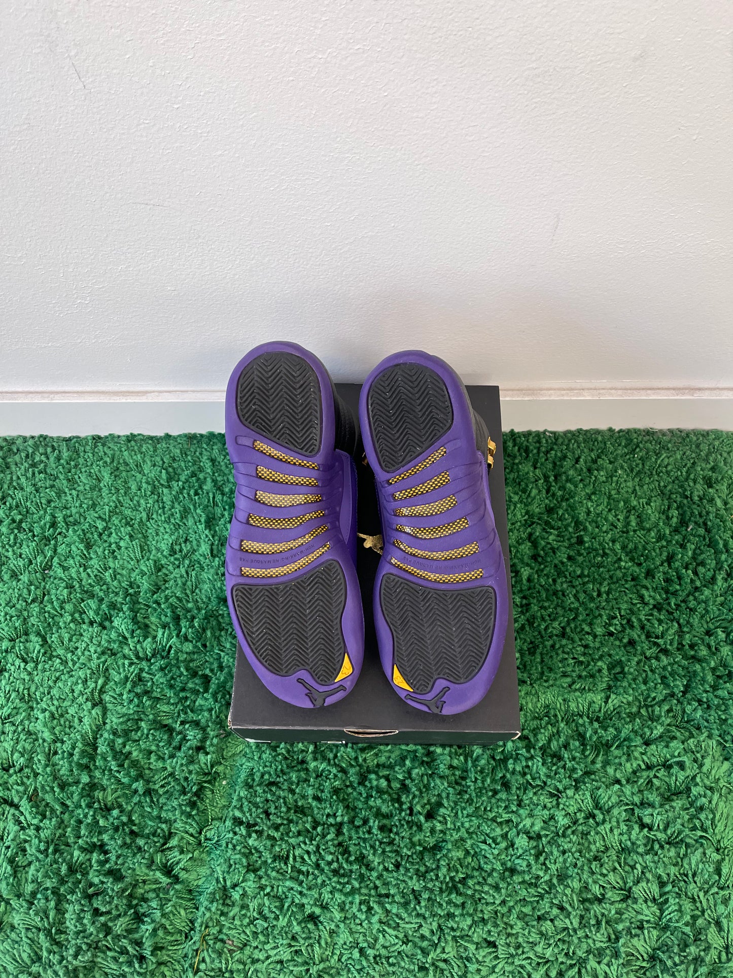 Used Jordan 12 Retro Field Purple (Youth)