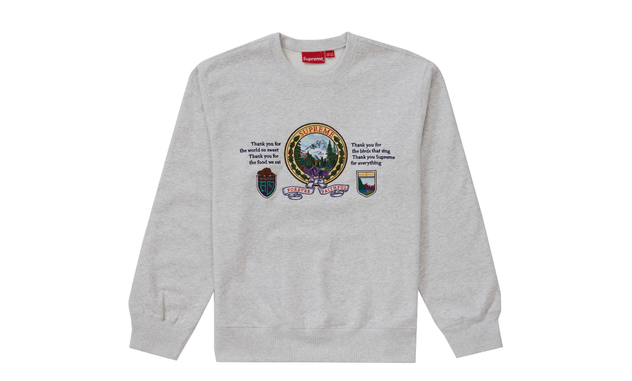 Supreme Mountain Crewneck Ash Grey