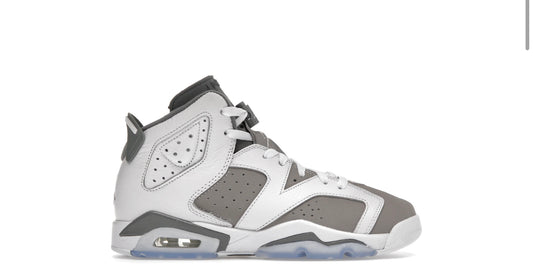 Jordan 6 Retro Cool Grey (Youth)