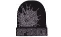 Sp5der Web Beanie Black