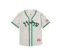 Supreme Mitchell & Ness Wool Baseball Jersey Grey