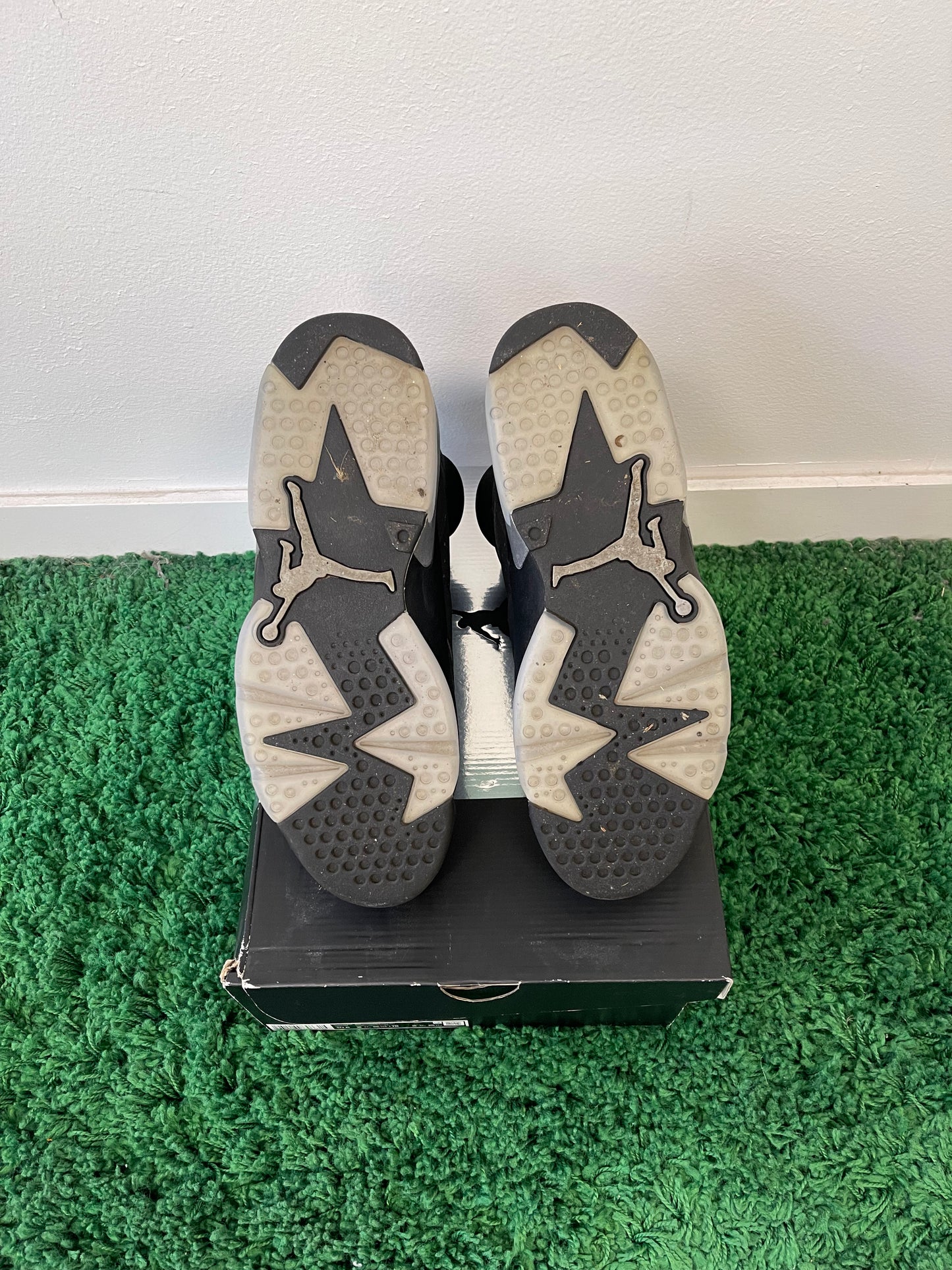 Used Jordan 6 Retro Chrome Metallic Silver (Men’s)