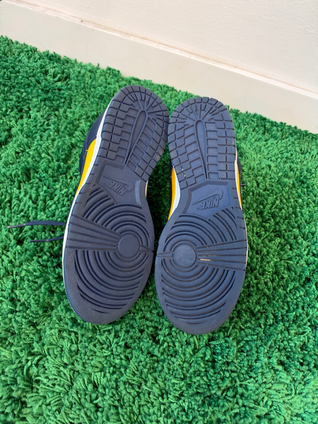 Used Nike Low Dunks Michigan (Men’s)