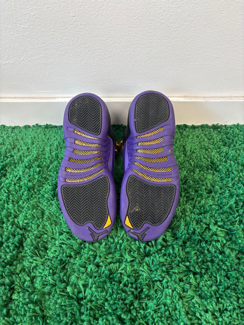 Used Jordan 12 Retro Field Purple (Youth)