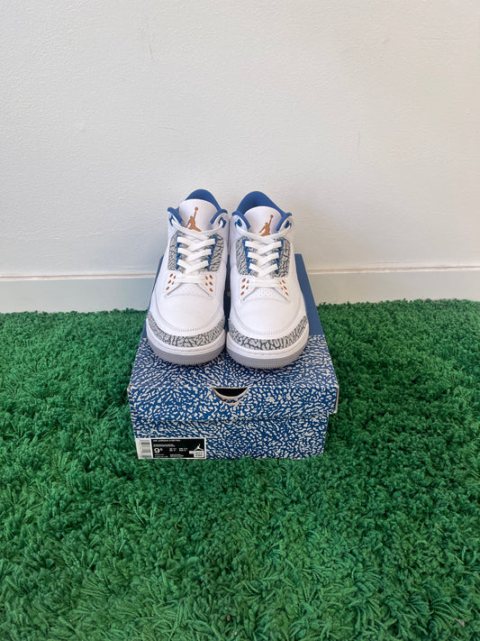 Used Jordan 3 Retro Wizards (Men’s)