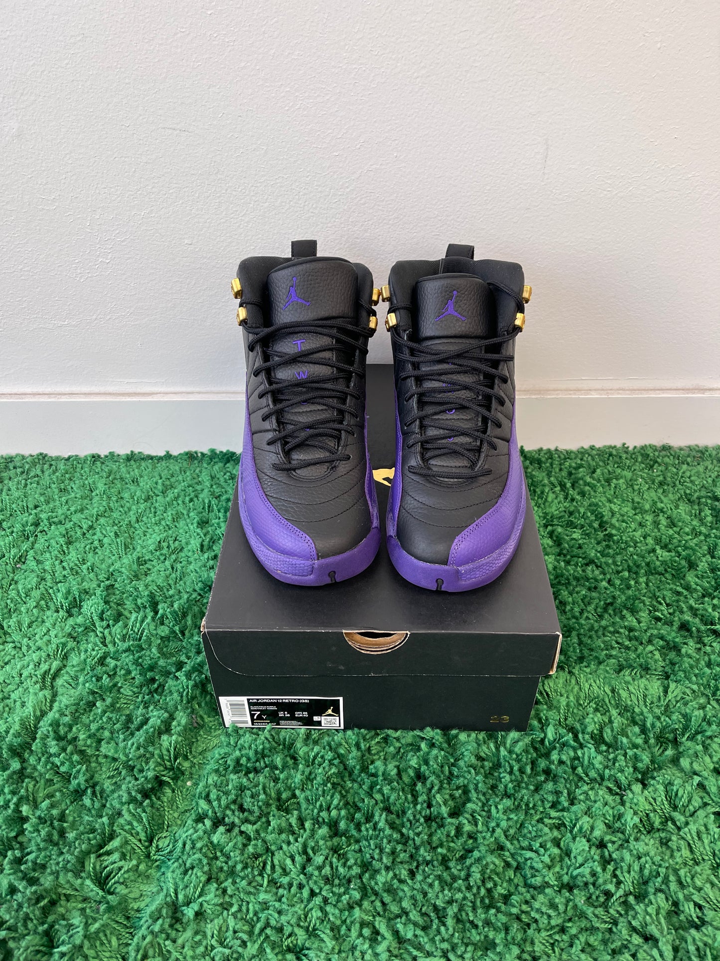 Used Jordan 12 Retro Field Purple (Youth)