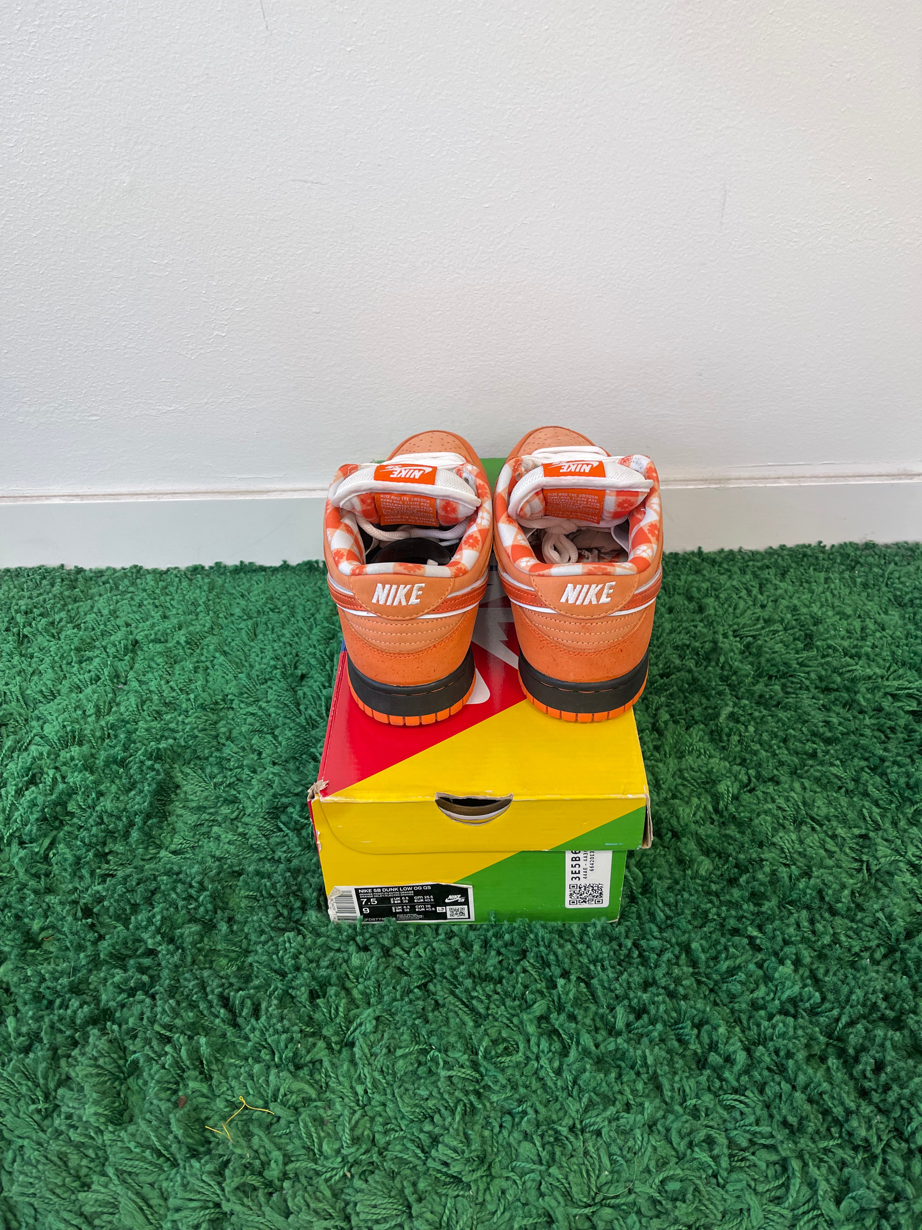 Used Nike SB Dunk Low Concepts Orange Lobster (Men’s)