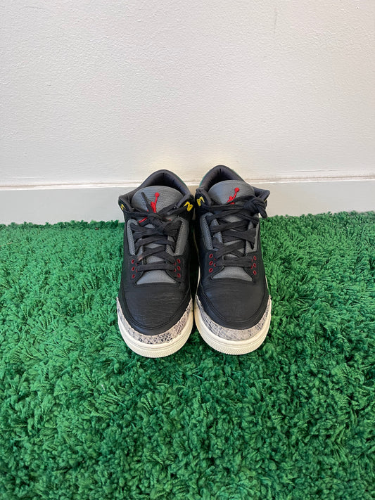 Used Jordan 3 Retro SE Animal Instinct 2.0 (Men’s)