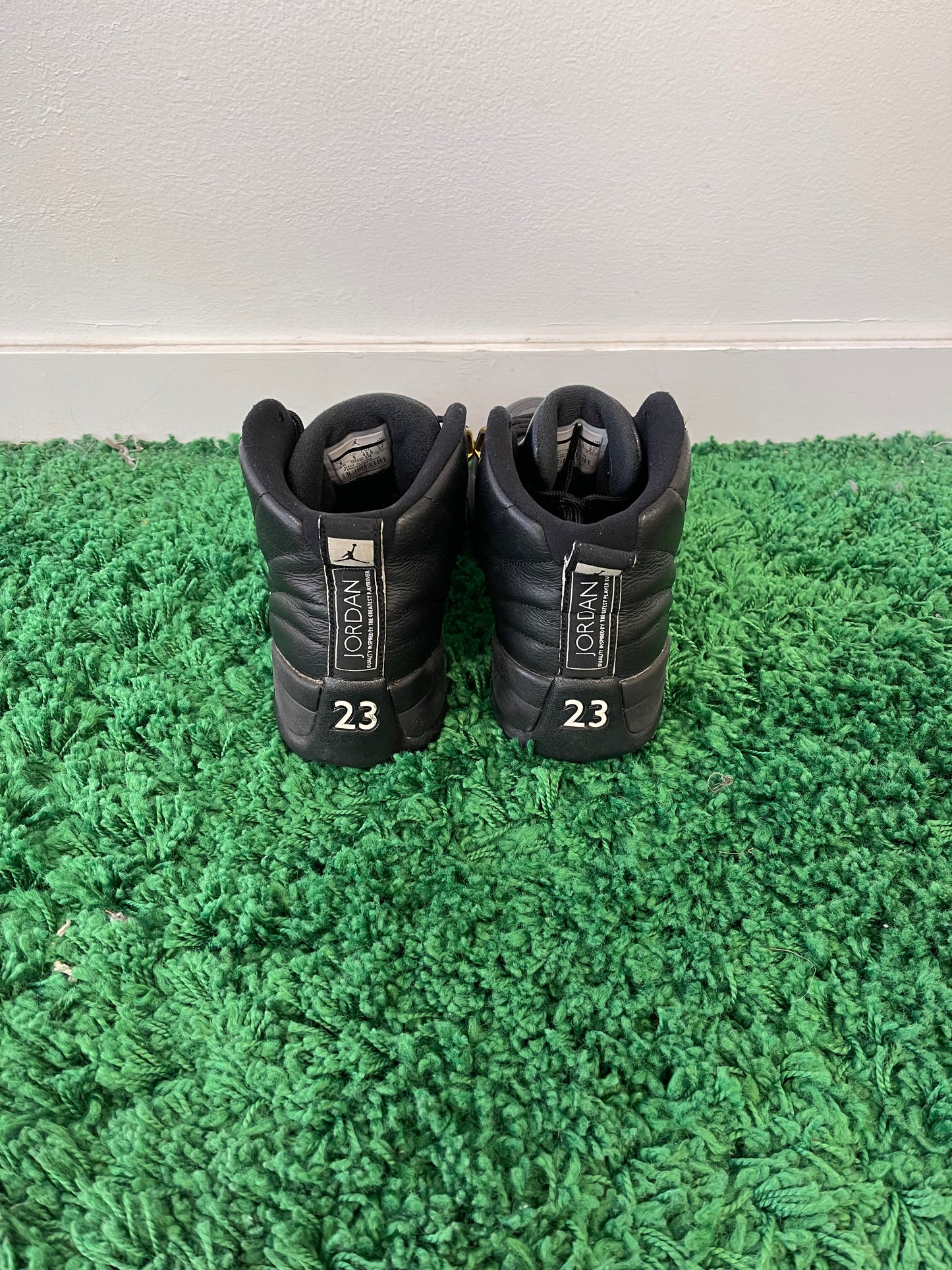 Used Jordan 12 Retro The Master 2016 (Men’s)