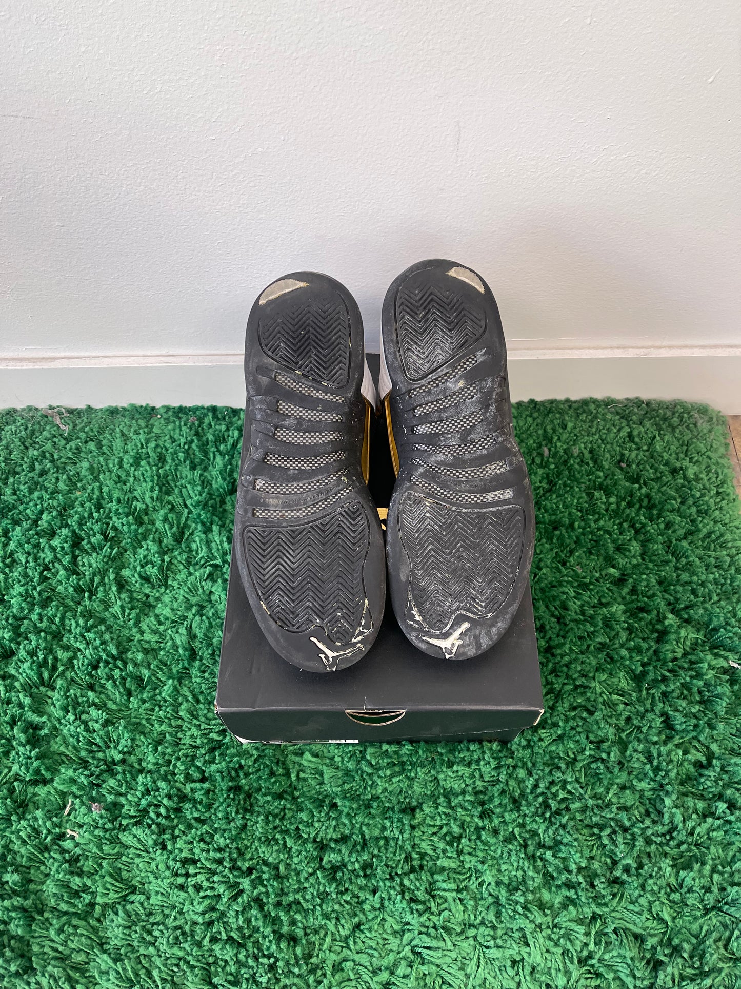 Used Jordan Retro 12 Royalty Taxi (Youth)