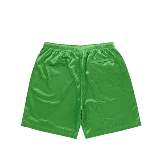 Supreme Small Box Baggy Mess Short Green