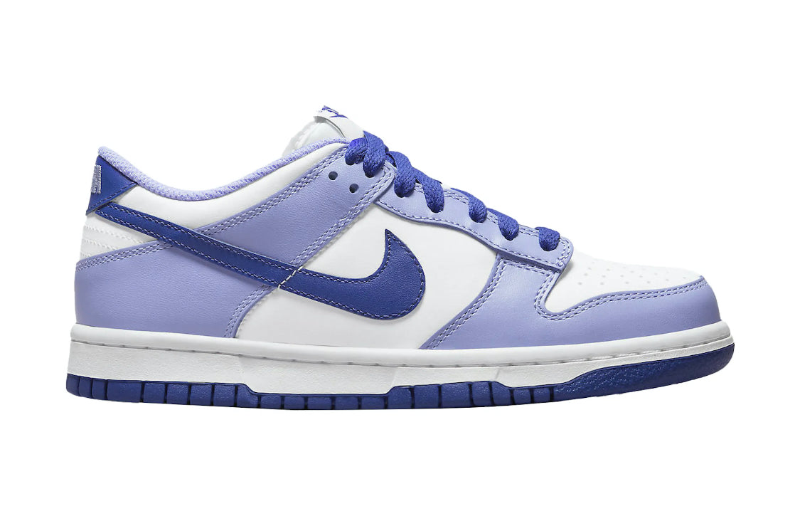 youth dunk lows
