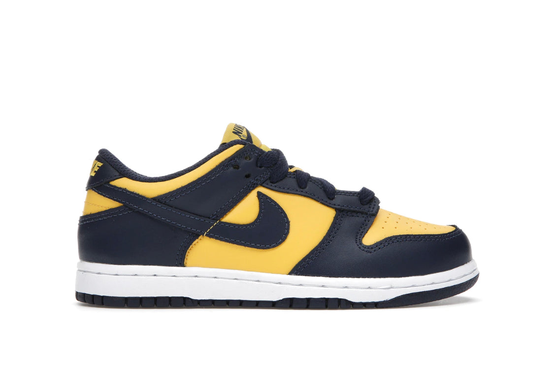 Nike Dunk Low Michigan (PS)