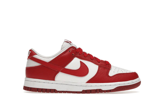 Nike Dunk Low Next Nature Gym Red (Women’s)