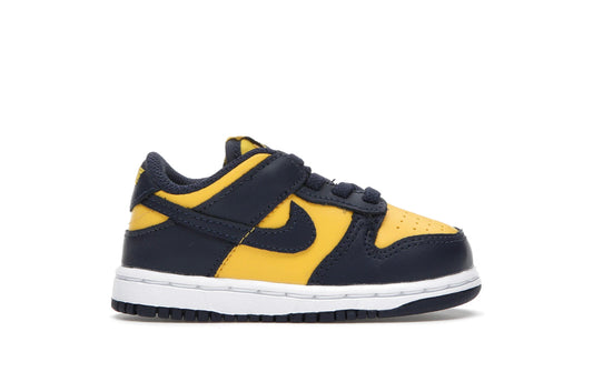 Nike Dunk Low Michigan (TD)