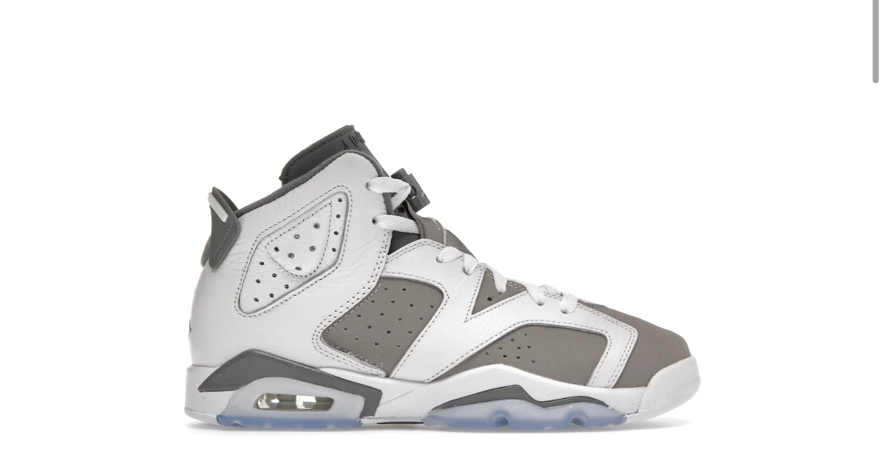 Jordan 6 Retro Cool Grey (Youth)