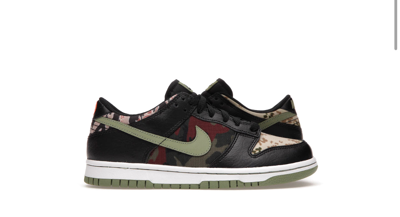 Nike Dunk Low Crazy Camo (Youth)